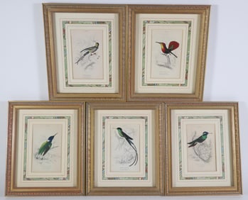 Collection of Six Lithographs From William Jardine's Natural History of Hummingbirds 1833