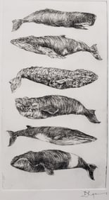 David Lazarus Black and White Etching "6 Whales"