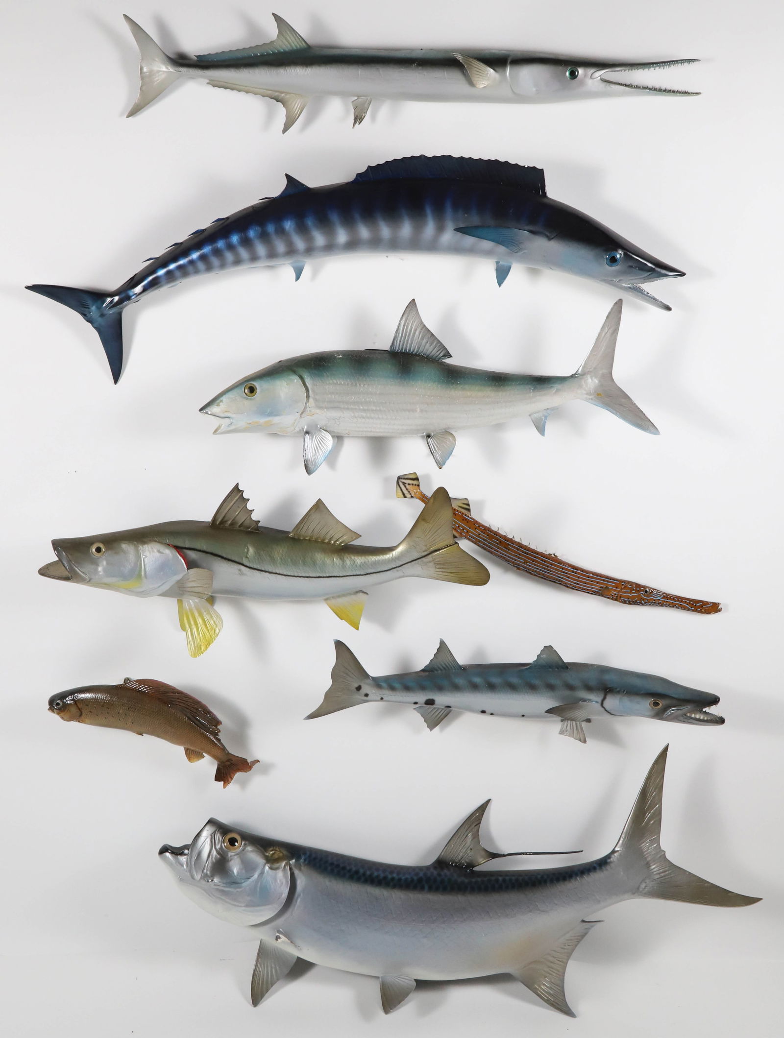 Eight Assorted Fish Trophies (1 of 7)