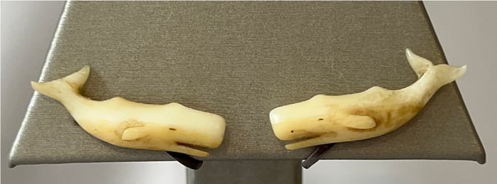 Pair of Charlie Sayle Sr (1908-1994) Carved Sperm Whale Earrings