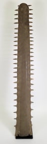 Large Antique Sawfish Bill