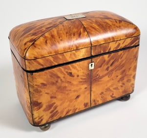English Regency Antique Tortoiseshell Tea Caddy, 19th Century