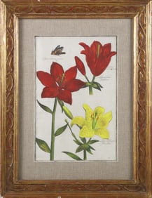 Daniel Rabel Hand Colored Copper Engraving #32 Lilies, circa 1622