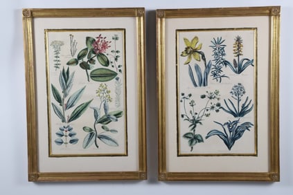 Pair of John Hill Hand Colored Copper Plate Engravings, "Garden of Eden", 18th Century