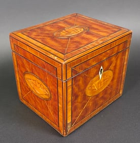 Antique British Regency Satinwood Conch Shell Inlaid Tea Caddy, 19th century