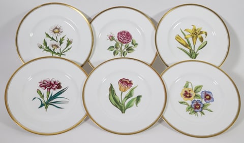 Set of Six Royal Worcester Botanical Plates