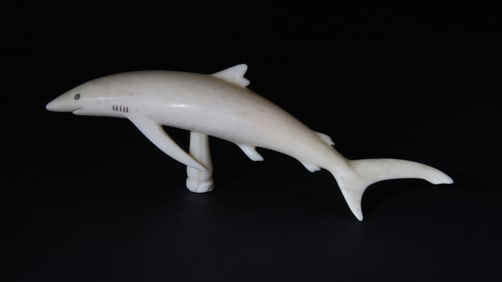 Signed Charlie Sayle Sr Carved Bone Great Blue Shark, circa 1969