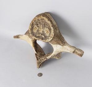 Antique Inuit Carved Fossilized Whalebone Vertebra Sculpture, 19th Century