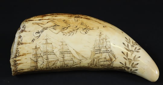 Fine Scrimshaw Whale Tooth "Ship Romeo", 19th Century