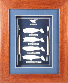 Azorian Carved Bone Whale Shadowbox