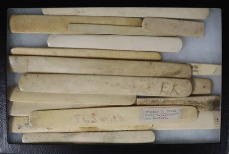 Seventeen Polished Whalebone Page Turners, Corset Staves or Tongue Depressors, 19th Century: Seventeen Polished Whalebone Page Turners, Corset Staves, or Tongue Depressors, 19th Century, one scrimshawed F.G. Smith, Francis G. Smith Bark "A.R. Tucker" New Bedford