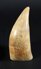 Scrimshaw Whale Tooth Portrait of a Gentleman, 19th Century
