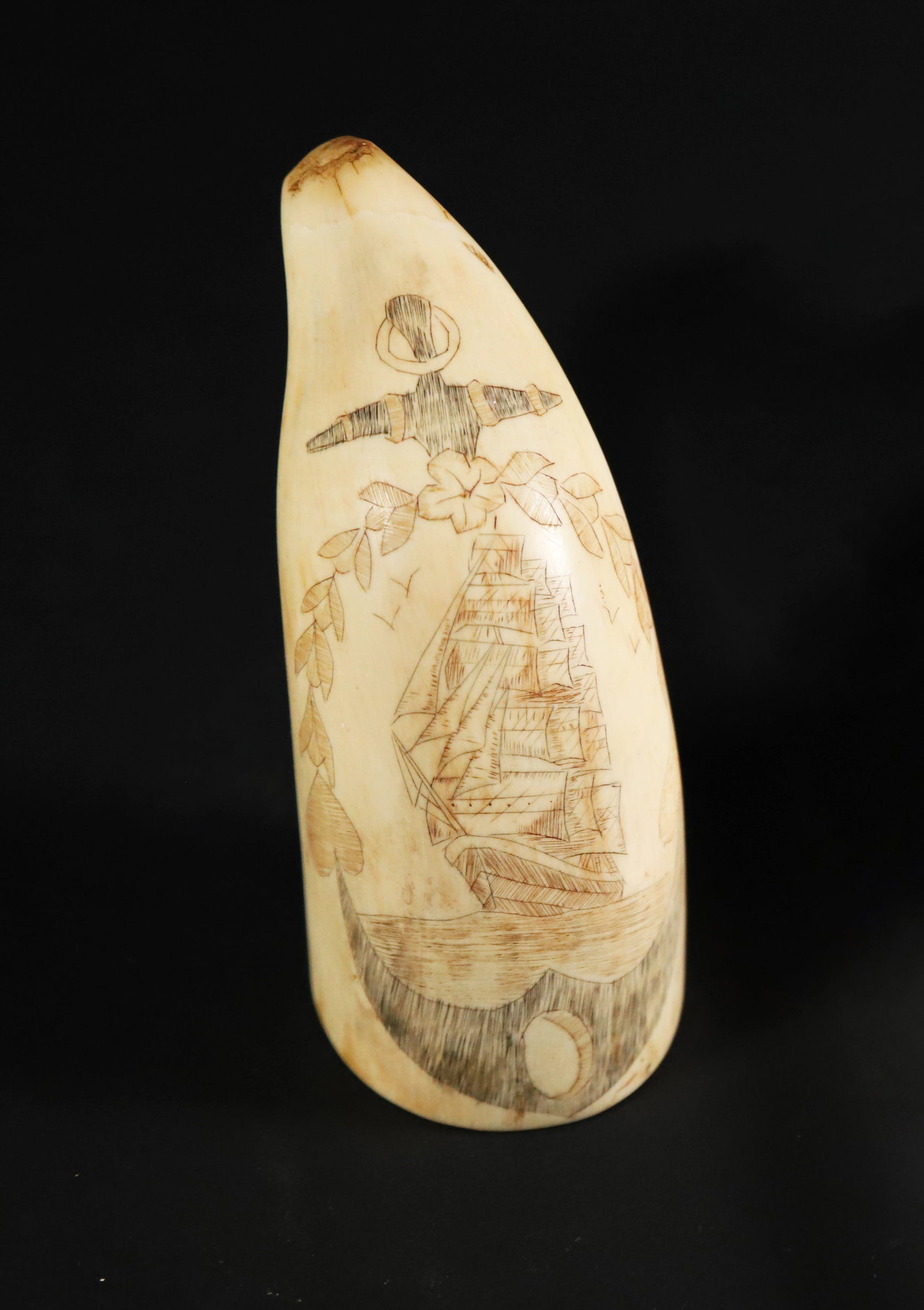 Scrimshaw Polychrome Whale Tooth "Square Rigged Ship and Anchor": Antique Scrimshaw and Polychrome Sperm Whale Tooth, bow view of a square rigged ship within an anchor wreath Height 4 in. Width 2.25 in.