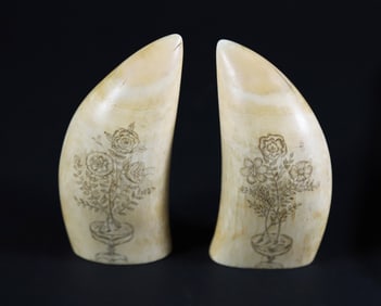 Pair of Scrimshaw Antique Whale Teeth "Sailor and Clipper"