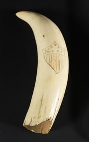 Scrimshaw Antique Whale Tooth Engraved with 13 Star Federal Shield
