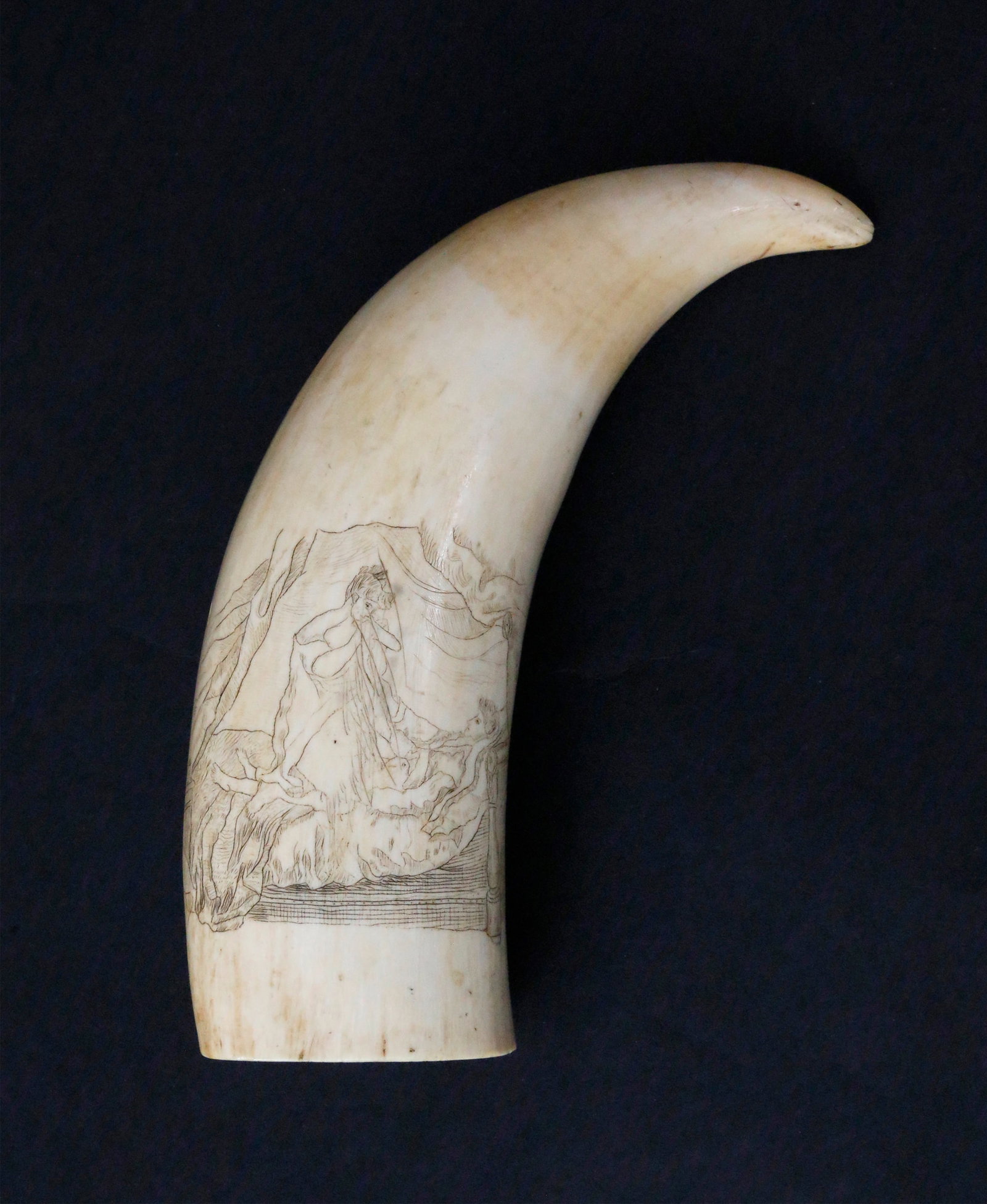 Scrimshaw Erotic Antique Sperm Whale Tooth, circa 1840-1850: Scrimshaw Erotic Antique Sperm Whale Tooth, circa 1840-1850, engraved with lovers on a canopy daybed Length 6 in. Width 2 in.