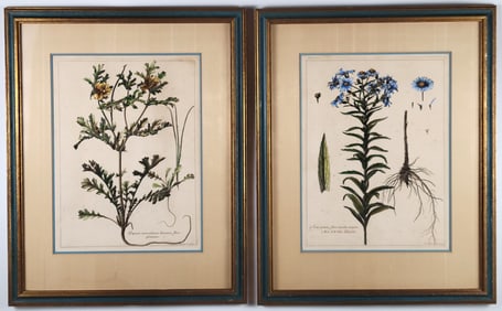 Pair of 18th C. Abraham Bosse after Nicholas Robert Handcolored Botanical Engravings