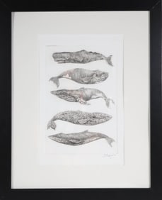 David Lazarus Black and White Etching "Five Whale Species"