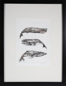 David Lazarus Black and White Etching "Three Whale Species"