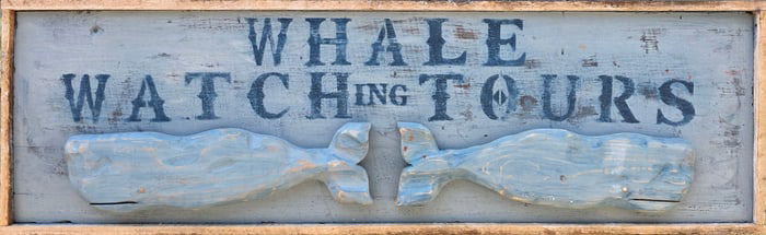 Antique Style Whale Watching Tours Trade Sign