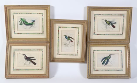 Collection of 5 Tropical Hummingbird Lithographs in French Mats and Frames