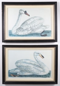 Pair Of Chelsea House Swan Prints
