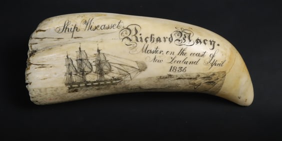 Scrimshaw Whale Tooth Ship Wiscasset "Richard Macy Master on the coast of New Zealand April 1836"