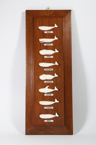 Rare Nancy Chase 8 Whale Species Plaque, circa 1961