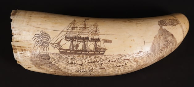 American Scrimshawed Antique Sperm Whale Tooth, 19th Century
