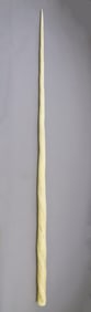 Antique Narwhal Tusk, 19th Century