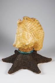 Vintage Conch Shell and Starfish Lamp