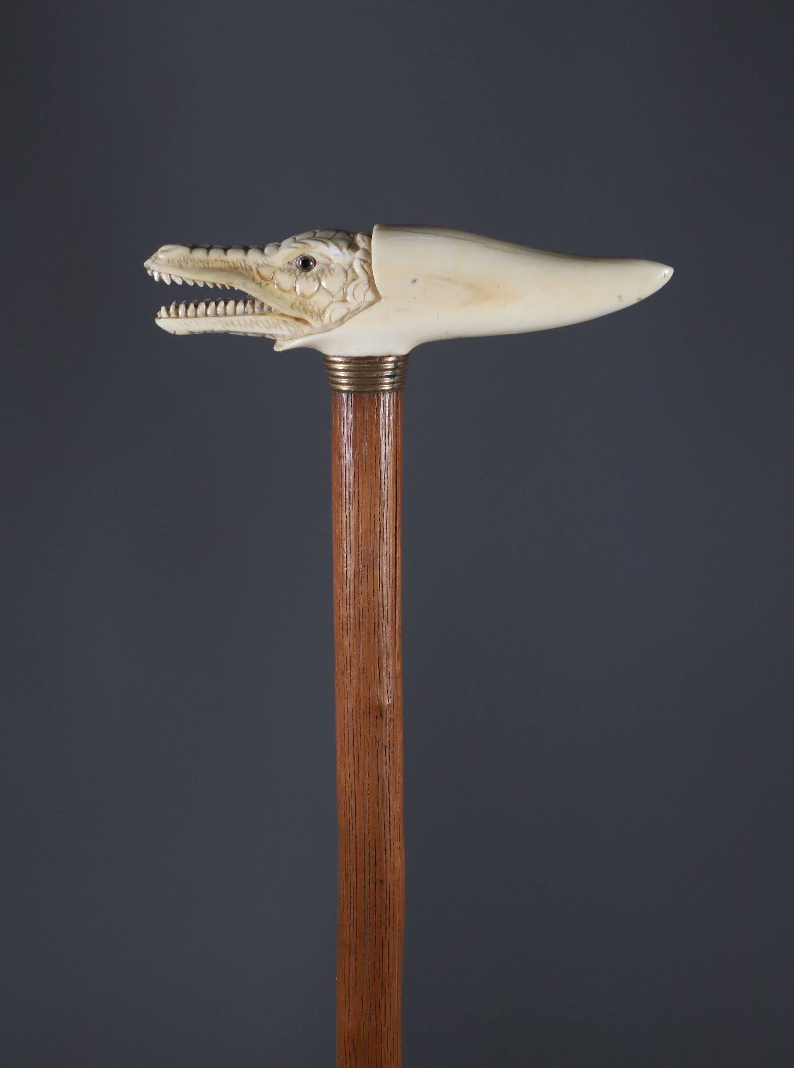 French Carved Crocodile T-Handle Grip Cane, 19th Century (1 of 7)