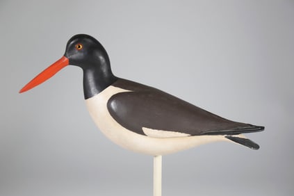 Vintage Carved and Painted Red Bill Oyster Catcher Decoy