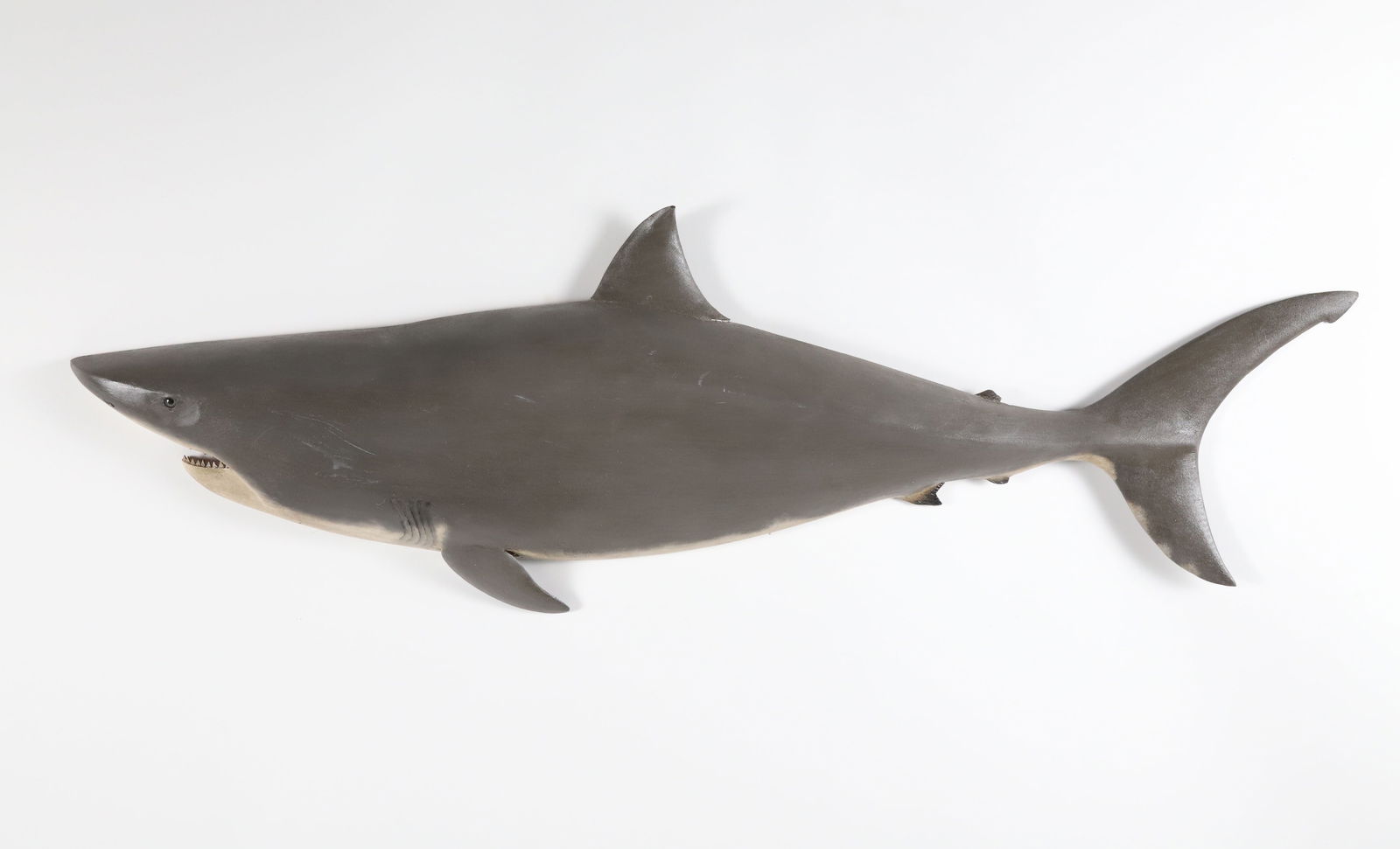 Brian Mitchell Carved and Painted Half Body Great White Shark (1 of 5)