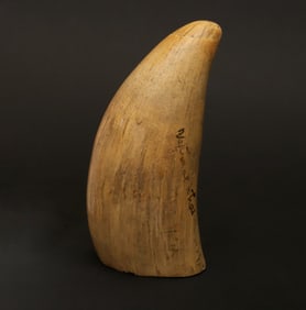 Antique Whale's Tooth, 19th Century, from the Barbara Johnson Collection