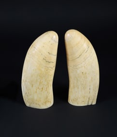 Pair of Antique Sperm Whale Teeth, Mid 19th Century