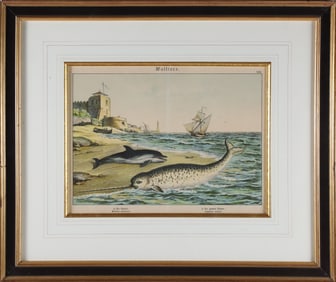 Antique Framed Print of a Beached Narwhal and Dolphin, 19th Century