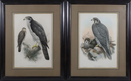 Pair of J. Wolf & H.C. Richter Prints "Falco Gyrfalco" and "Astur Palumbarius"