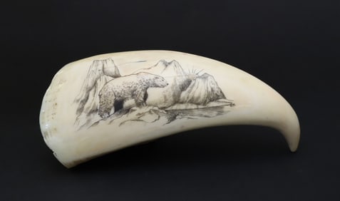Fine Contemporary Scrimshaw Whale's Tooth, Mid 20th Century