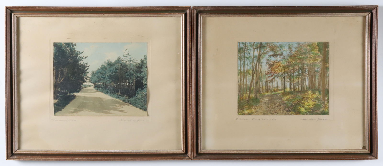 Pair of H. Marshall Gardiner Photographs "Wauwinet Pines" and "The Hidden Forest, Nantucket" (1 of 7)
