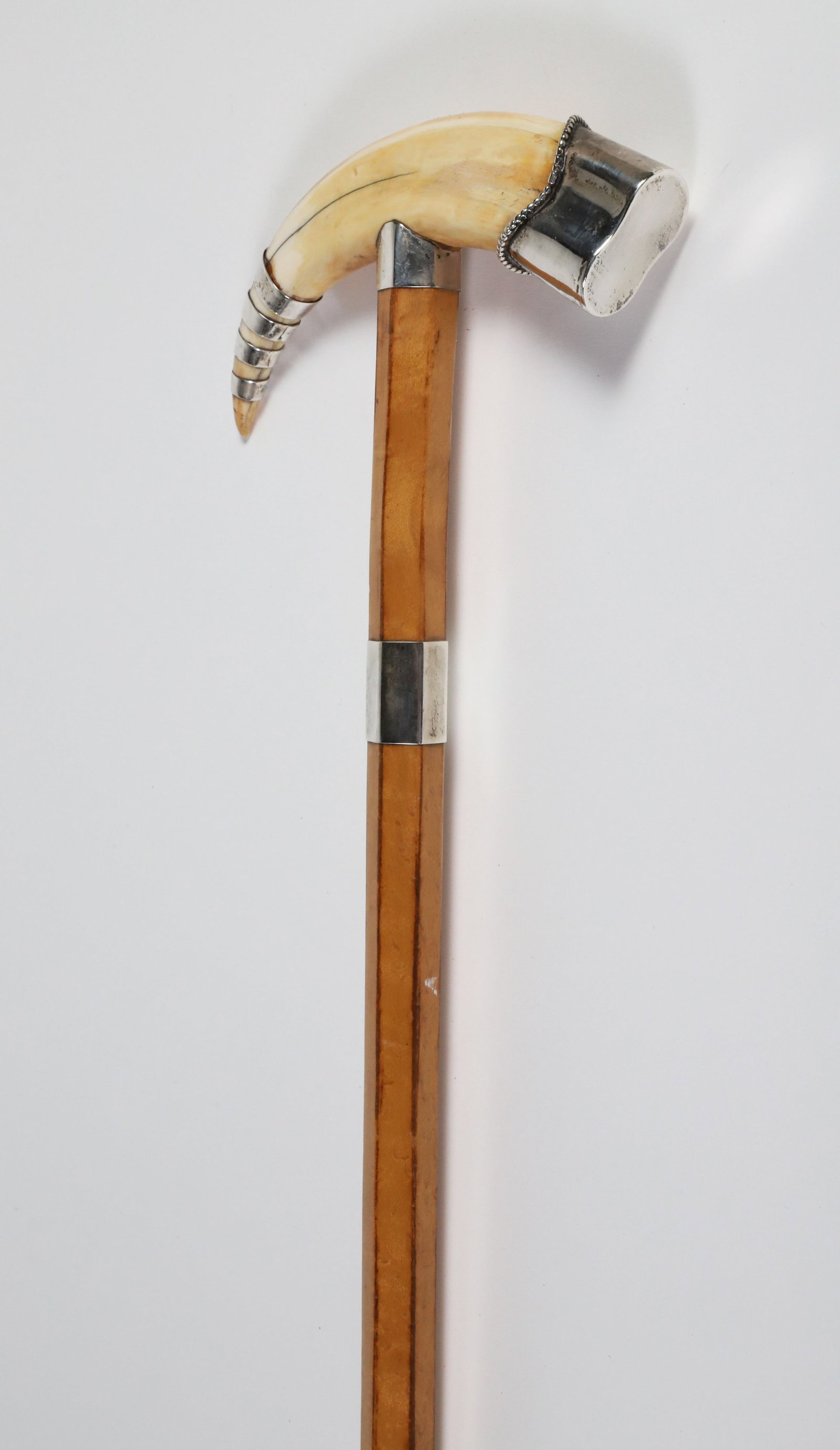 Silver and Boar's Tusk Cane, 19th Century: Silver and Boar's Tusk Cane, 19th Century, silver capped and banded grip, panneled and tapering bird's eye maple shaft ending in metal ferrule Length 33.5 in. Provenance: The Estate of Stephen Weinrot
