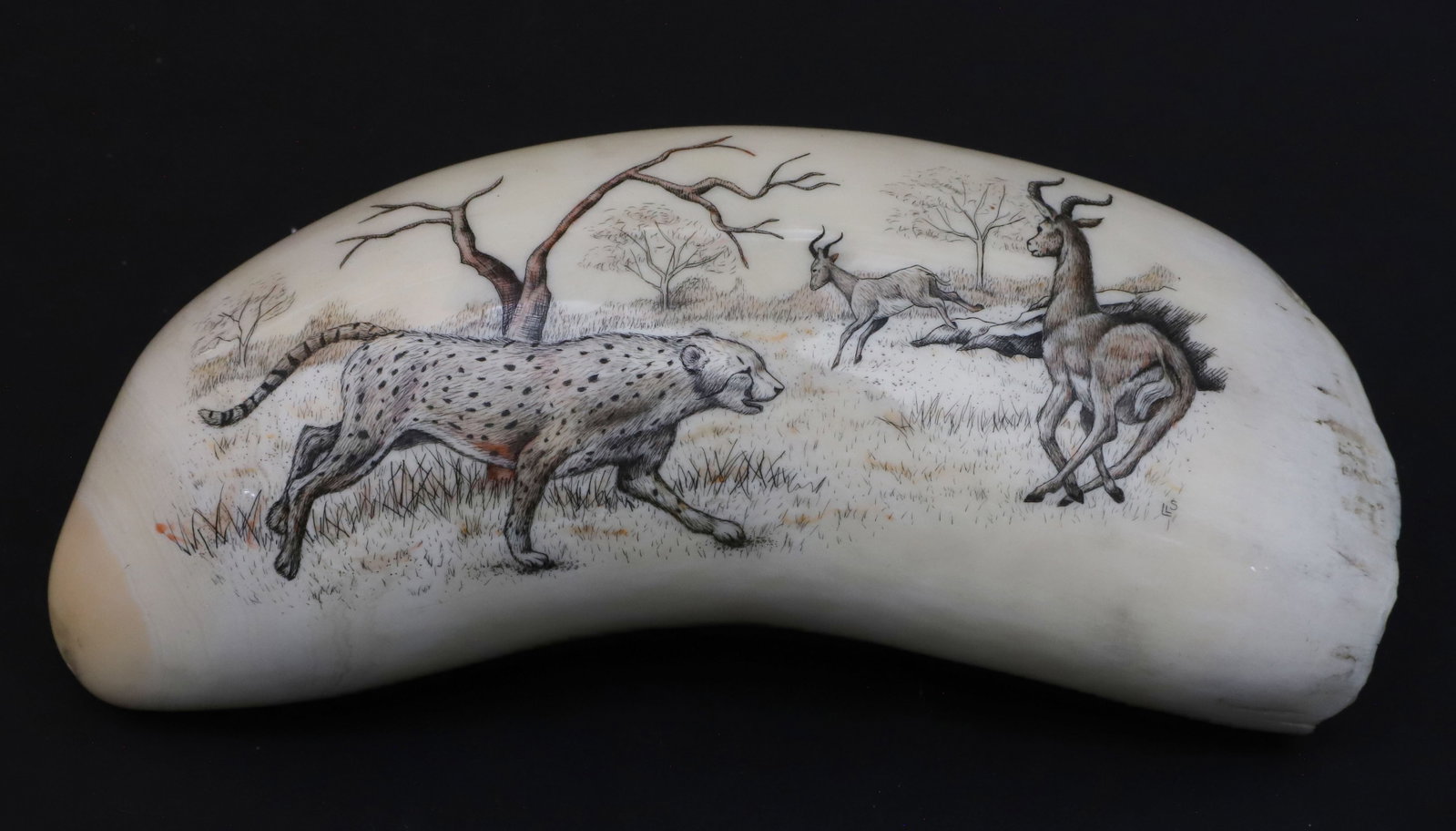 Linda Stockshlager Scrimshaw Whale Tooth Depicting an African Preditorial Scene (1 of 3)