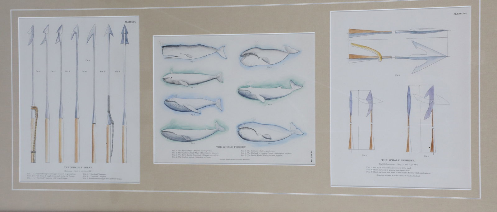Three Maritime "Knots" Framed Triptychs - 3