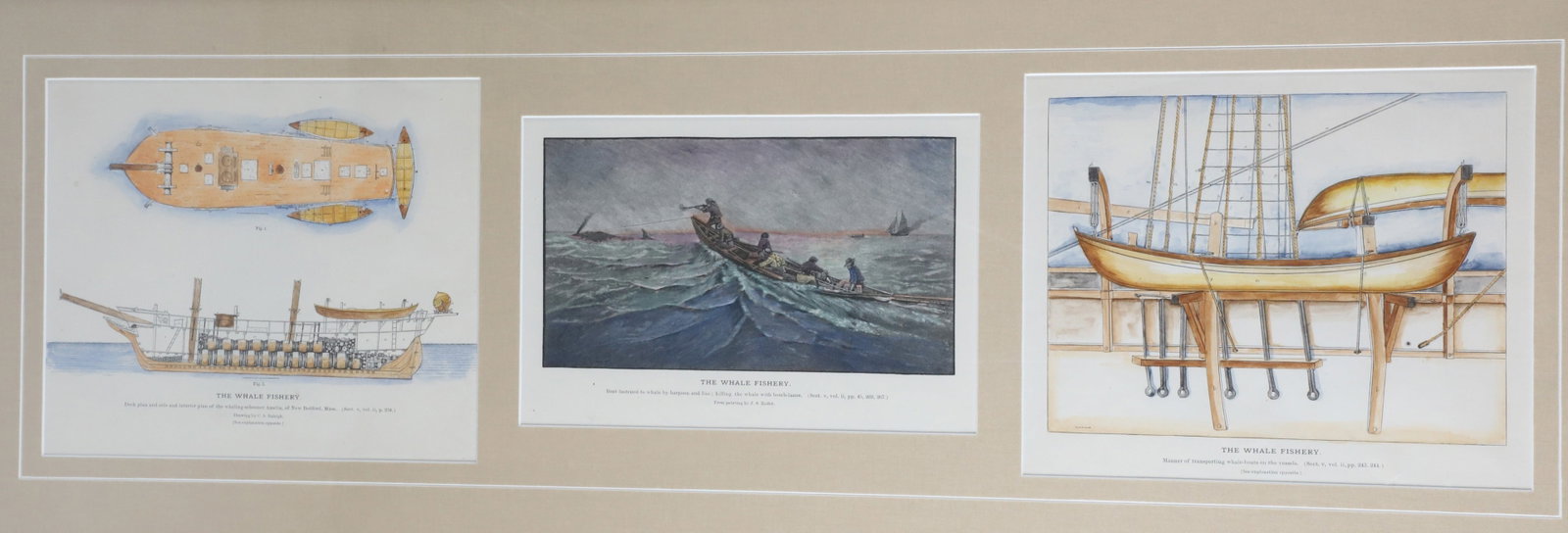 Three Maritime "Knots" Framed Triptychs - 4