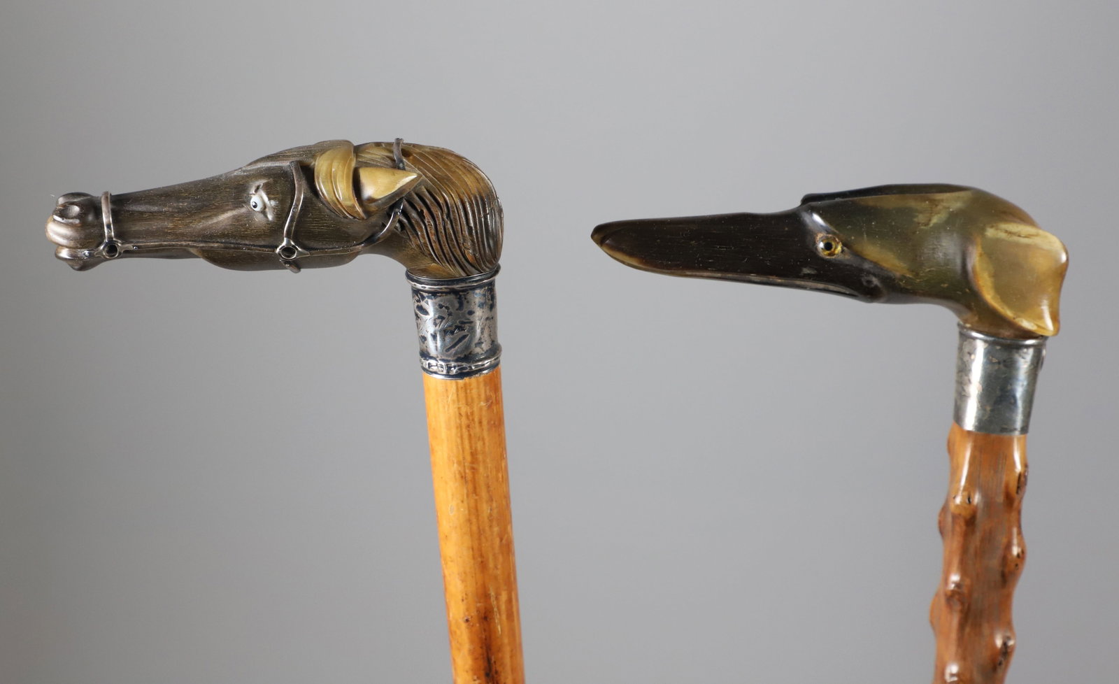 Two Carved Horn Dachshund's Head and Horse Head Grip Canes, 19th Century: Two Carved Horn Dachshund's Head and Horse Head Grip Canes, 19th Century, with silver collars, on branch and wood shafts. Lengths 34 in. and 35 in. Provenance: The Estate of Herbert E. Sackett, Bristo