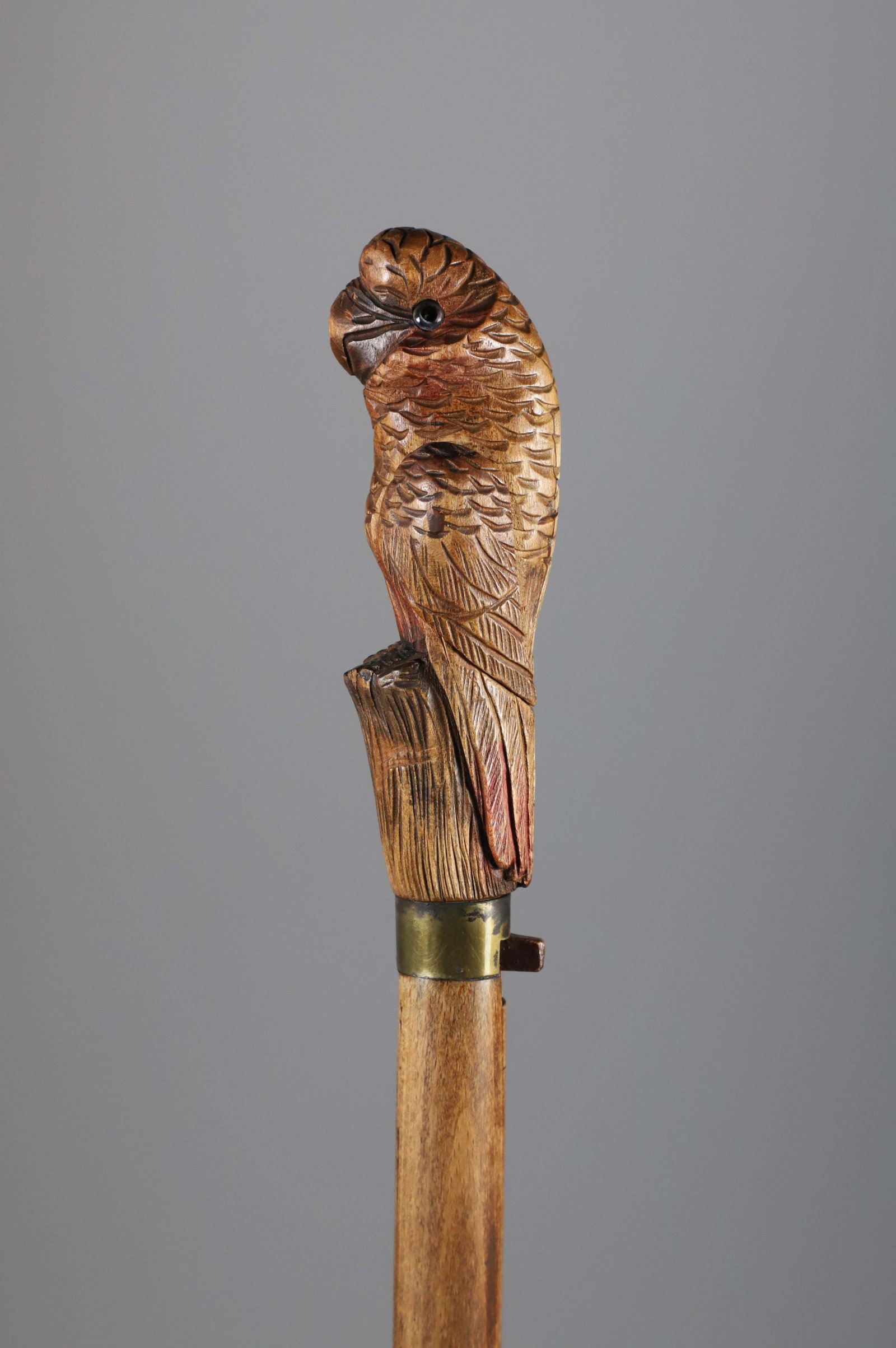 Mechanical Carved Wood Parrot Walking Stick, 19th Century (1 of 10)