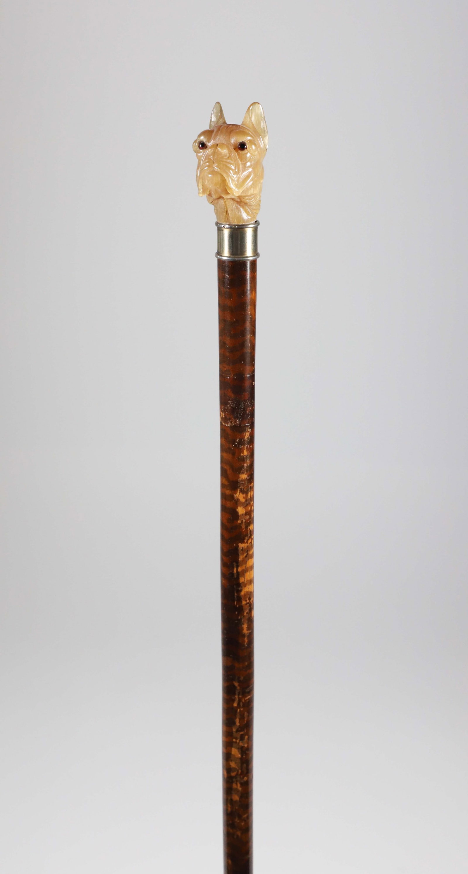 Carved Amber Stone French Bull Dog Head With Glass Eyes Walking Stick, 19th Century: Carved Amber Stone French Bull Dog Head With Glass Eyes Walking Stick, 19th Century, hallmarked collar on figured wood shaft. Length 34 in. Provenance: The Estate of Herbert E. Sackett, Bristol, Rhode