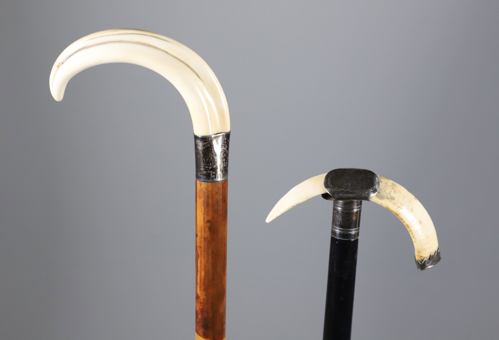 Two Boar's C-Grip Canes, 19th Century, with Silver Mounts