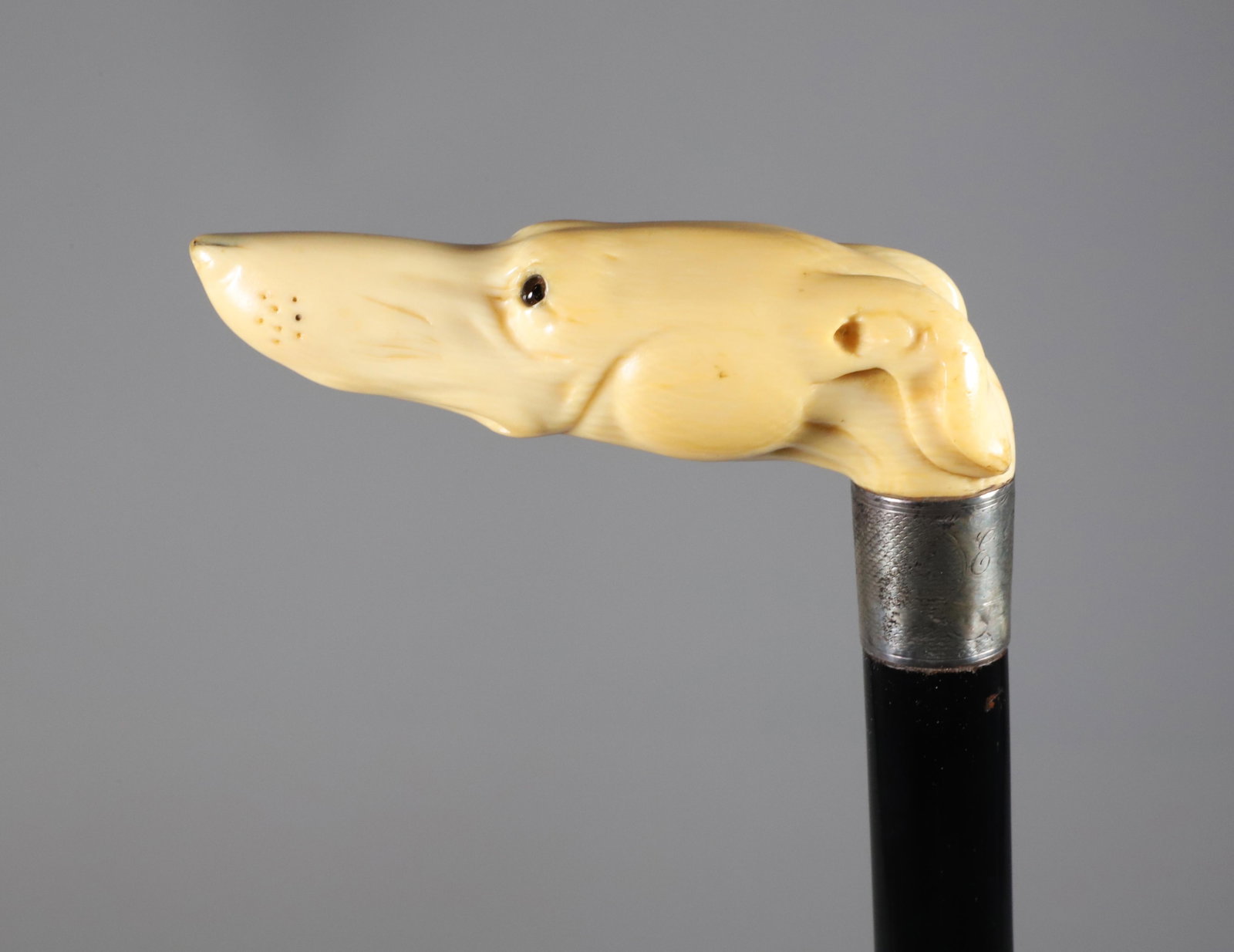 Carved Whippet Dog Head Grip Cane, 19th Century: Carved Whippet Dog Head Grip Cane, 19th Century, monogrammed sterling silver collar on ebonized wood shaft. **Note: This item is not available for International Delivery. Length 35.5 in.