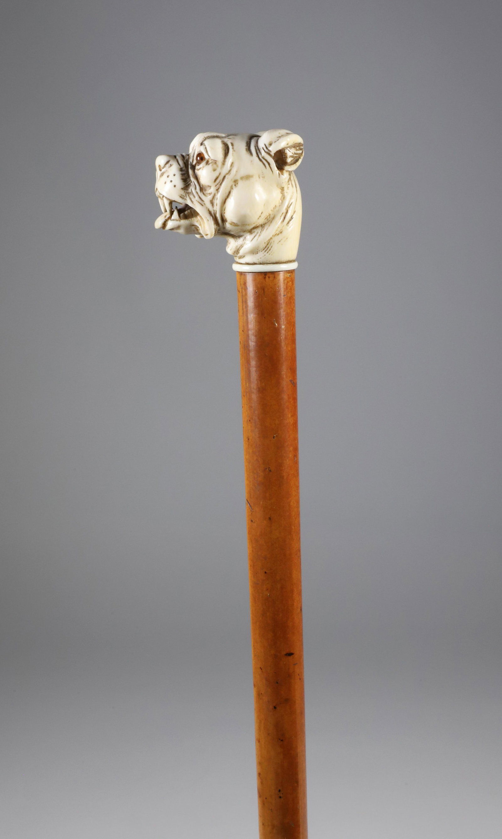 Carved Bulldog Bearing Teeth Walking Stick, 19th Century